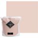BARBOUILLE - Peinture acrylique Jésus - Aspect velours - Mur, plafond et bois - Lavable - Séchage en 30 minutes - VOC A+ - Fabriqué en France - 5 L