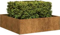 Maison Exclusive - Jardinière rustique, 100x100x30 cm, acier résistant aux intempéries