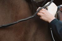 Kentucky - Teugels 1/2’’ met leren handgreep WO coll, Full/zwart