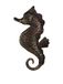 Wanddecoratie. Zee Paard Wanddecoratie