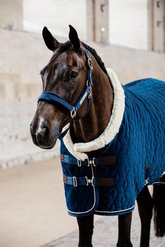 Kentucky Velvet Halster - Navy - Full