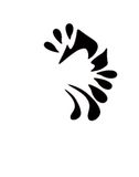 Eulenspiegel 109014, Zwart, Kinderen & volwassenen, Elk geslacht