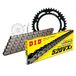 Kettingset DID Kettingset staal 520VX3 / 106 klinkslot voor Aprilia Pegaso 600 cc Bj. 1993