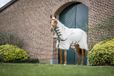 Horseware Rambo Sweet Itch Hoody Full Neck Beige - 125/175