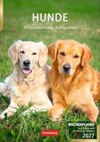 Hunde Harenberg Hunde Wochenplaner 2027