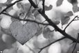 Hart Tuinposter - Takken - 60x40 cm - Noir/Blanc/Gris - Plastique - Moderne