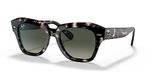 Ray-Ban Sunglasses / 49ml / Women