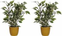 Mica Decorations Ficus kunstplant - groen/wit - 40 cm - met plantenpot - geel