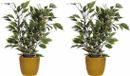 Mica Decorations Ficus kunstplant - groen/wit - 40 cm - met plantenpot - geel