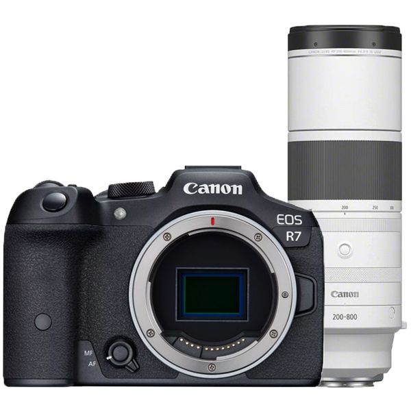 Canon EOS R7 + RF 200-800mm F/6.3-9 IS USM
