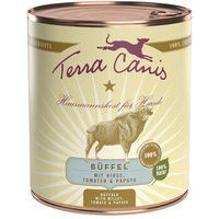 Terra Canis Classic Adult 6 x 800 g Buffel met gierst, tomaten en papaja