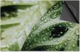 Dietrix Inductie Beschermer - 65x52cm - Leaves - 6 Blad met druppels