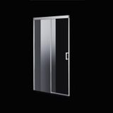 Boss & Wessing Nisdeur BWS Linea 100x200 cm Soft-Close Aluminium Profiel Chroom