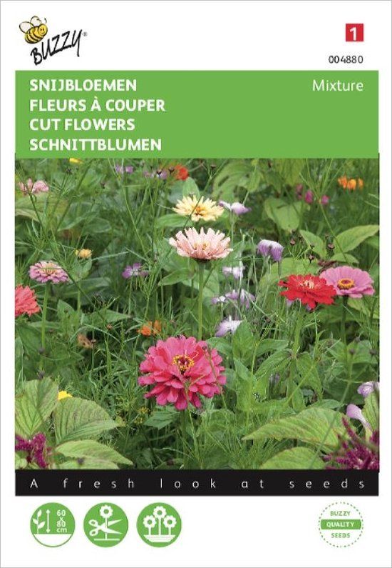 Buzzy Snijbloemenmengsel vele soorten