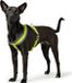 Hunter Hondentuigje London Comfort XS-S Limoen