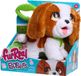 FurReal Just Play Furreal Poop-a-lots-king Charles Spaniel Interactive Knuffelbeer Veelkleurig