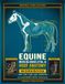 Equine Musculoskeletal & Hoof Anatomy Workbook