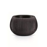 Prosperplast Beton Bowl de plástico CON depósito in kleur Cemento, 19,5 (oud) x 29 (ancho) x 29 cm