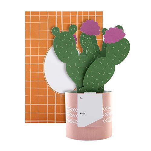 Hallmark Pop-up Plantenkaart van - Cactus Design