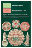 Il mare intorno a noi. Segreti e dinamiche di un sistema in movimento