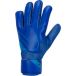 Nike Gants de gardien de but Goalkeeper Match