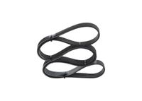 BOSCH 1 987 947 044 Poly Rib Riem