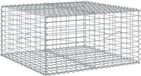 vidaXL Schanskorf - 100x100x50 cm - Gegalvaniseerd Metaal - Zilver