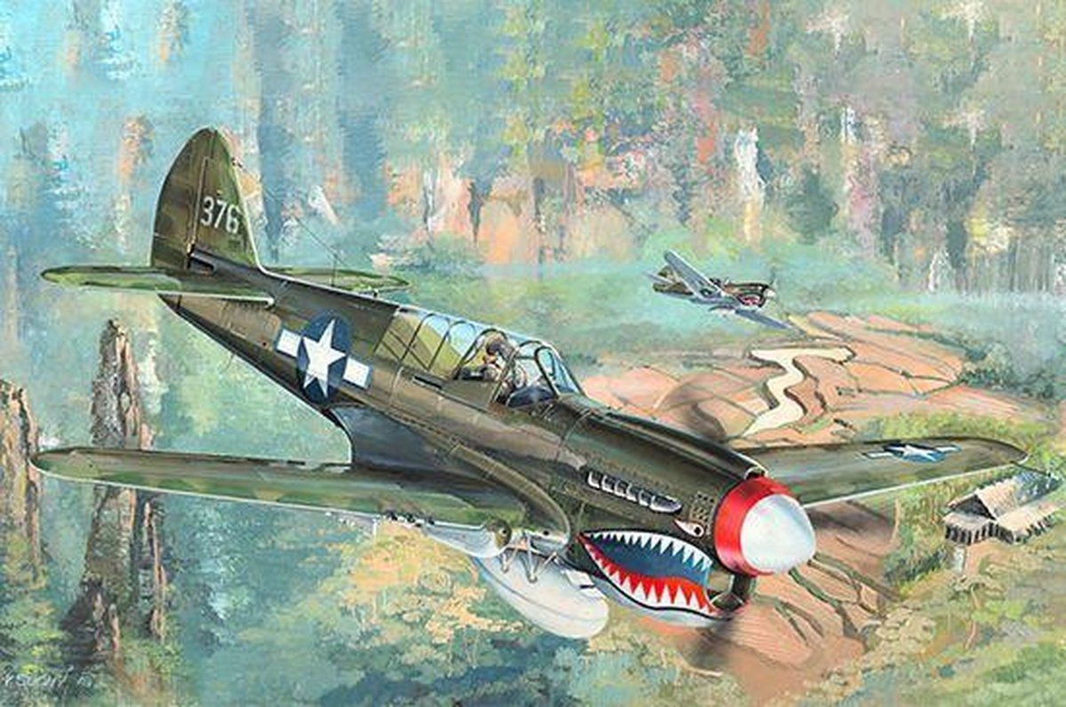 Planes / Helicopter Panda Planes / Helicopter P-40N War Hawk