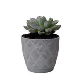 Form Plastic Plantenpot/bloempot New Age - kunststof - platina grijs - D17 x H15 cm - met opvang schotel - rond