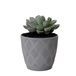 Form Plastic Plantenpot/bloempot New Age - kunststof - platina grijs - D17 x H15 cm - met opvang schotel - rond