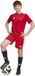 Adidas Campeon 25 T-shirt Met Korte Mouwen Rood 9-10 Years Kinderen