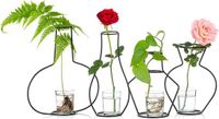 Merkloos NUPTIO Set of 4 Creative Desktop Flower Pots with Glass Cups, Vases and Metal Iron Stand for Aquatic Plants, Flower Arrangements Decoration (4pcs)