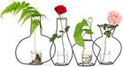Merkloos NUPTIO Set of 4 Creative Desktop Flower Pots with Glass Cups, Vases and Metal Iron Stand for Aquatic Plants, Flower Arrangements Decoration (4pcs)