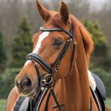 Horka Hoofdstel Deluxe Zwart/Rosegoud - Full