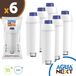 AguaNext 6x CaffeeMax cartouches filtrantes pour machines à café DeLonghi (SER3017, DLS C002)