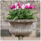 Merkloos / Sans marque GreatGardenPosters B.V. Tuinposter 50x50 cm - Tuindecoratie Een stenen plantenbak met roze tulpen