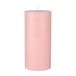 Duni 185726 Kaars Rond Roze 12 stuk(s)