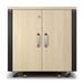 APC NetShelter CX AR4012IA - 12U, Geluiddempend en geventileerd 19 inch server rack
