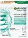 Garnier SkinActive Hyaluronzuur Aloë Vera Tissue Gezichtsmasker - 4 x - Voordeelverpakking