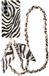 AVY Samsung Galaxy S26 Plus MagSafe Hoesje met Koord (120CM) Serengeti Zebra