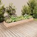 Maison Exclusive - Jardinière surélevée avec bac intégré, dimensions 240x45x25 cm, en bois massif de sapin