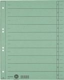 Leitz Staffeltabblad Karton - Beschrijfbare Tabs, 2/4-rings - Voor Ordners en Ringbanden - Groen