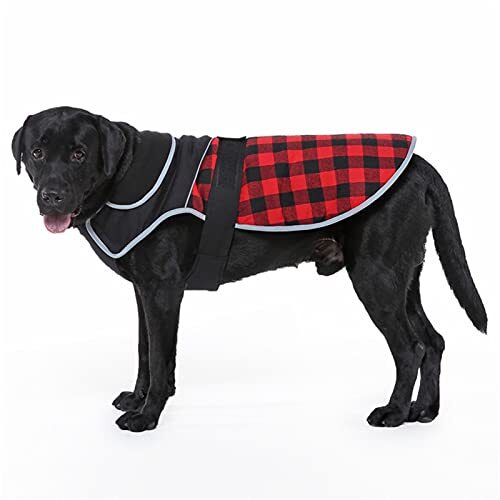 JRKJ Winter Dog jas kleding Waterdichte reflecterende grote hondenjas Soft High Collar Dog Vest voor Medium Large Dogs S-2XL