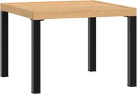 vidaXL Tuinsalontafel 55x55x39,5 cm Gepoedercoat Staal Zwart