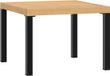 vidaXL Tuinsalontafel 55x55x39,5 cm Gepoedercoat Staal Zwart