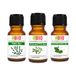 Set Laborbio Set Eucalyptus - Tijm - Ravintsara Bio Etherische olie 100% Pure - Aromatherapie Therapeutisch Cosmetische