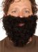 Faram Party baard - Zwart - Kabouter - Dwerg - Opa