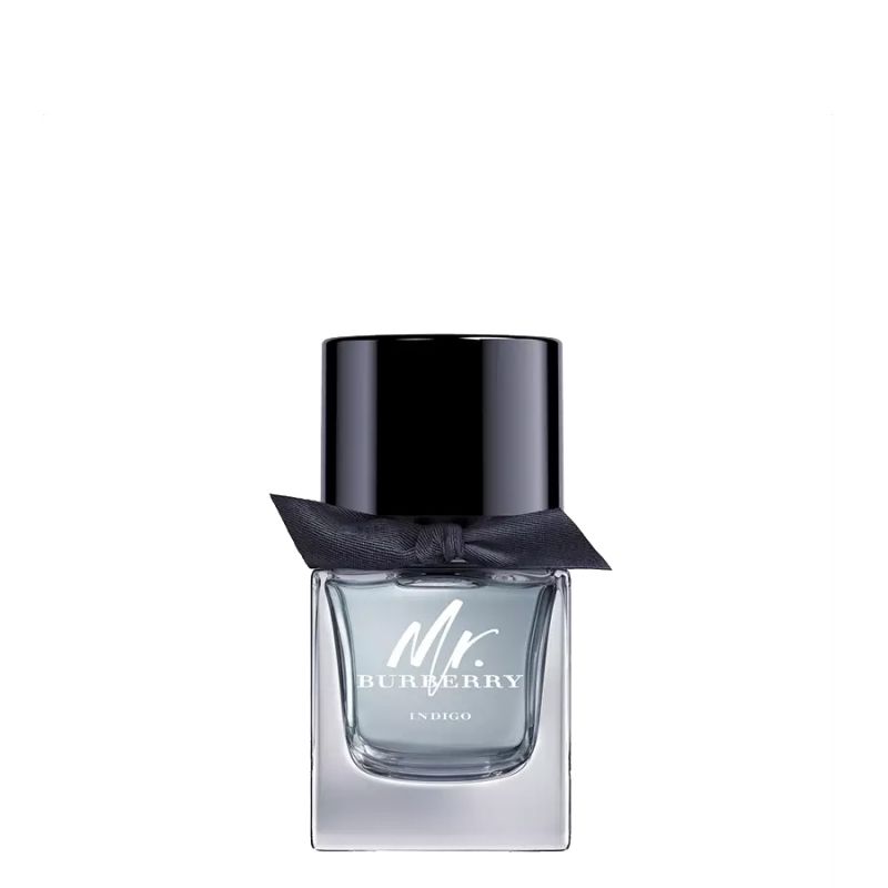 Burberry Eau de Toilette / 30 ml / Heren