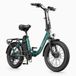 DYU C9 Vélo électrique pliant pour adulte, 20", 250 W, 48 V, 15,6 Ah, Fatbike, VTT électrique, 25 km/h - Vert