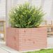 Prolenta Maison Exclusive - Jardinière 70x70x45,5 cm, en bois massif de douglas